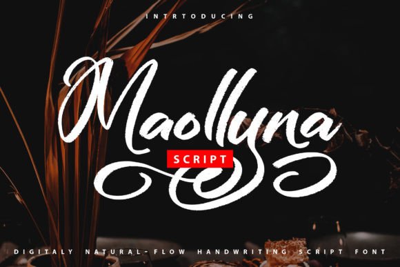 Maollyna Font: A Natural Script for Editorial Design